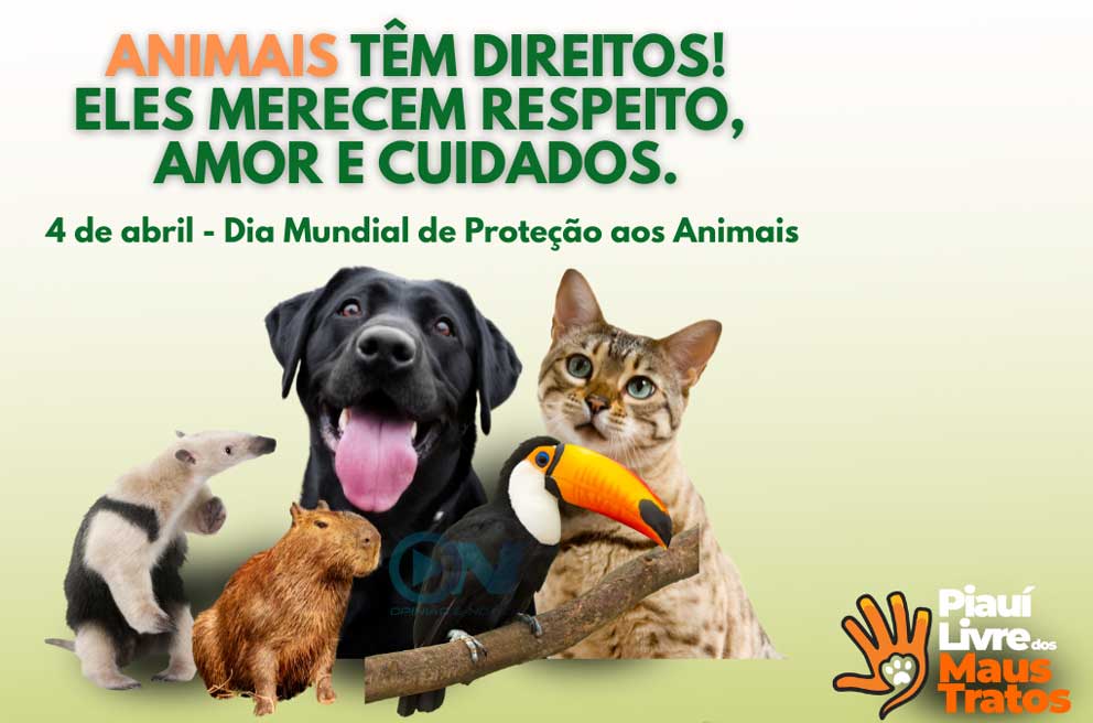 Governo do Estado realiza ações para combater maus-tratos contra os animais durante o Abril Laranja