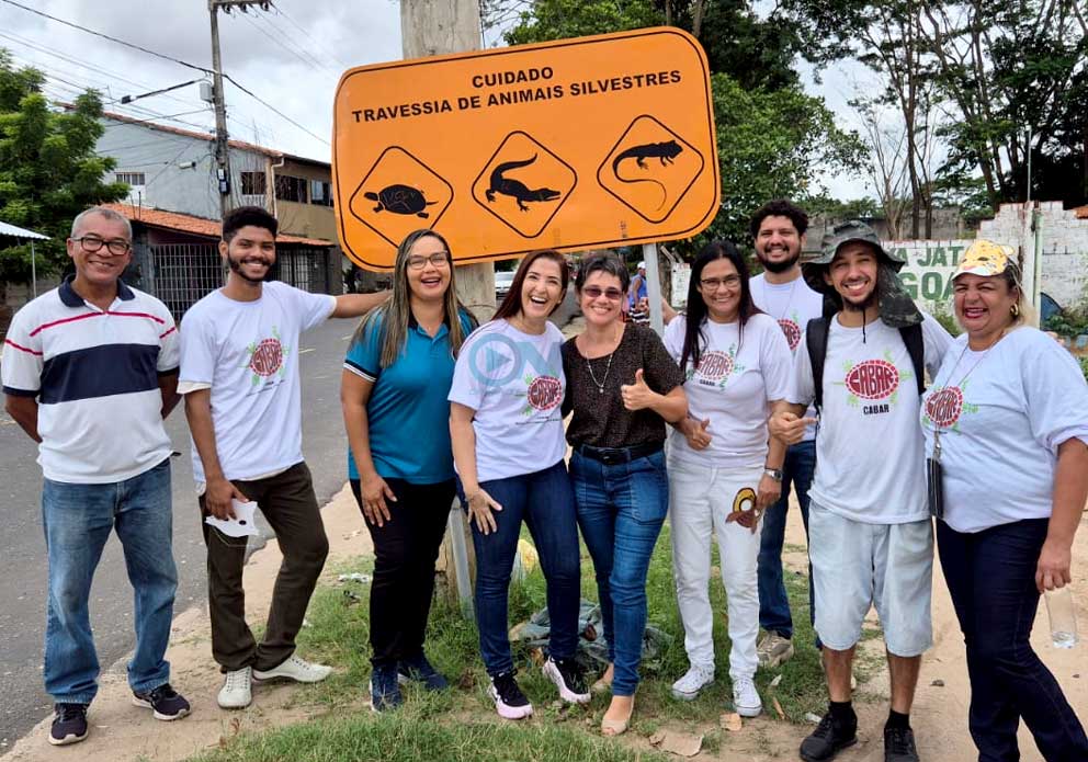 Mortes de animais silvestres por atropelamento caíram 30% na região norte de Teresina