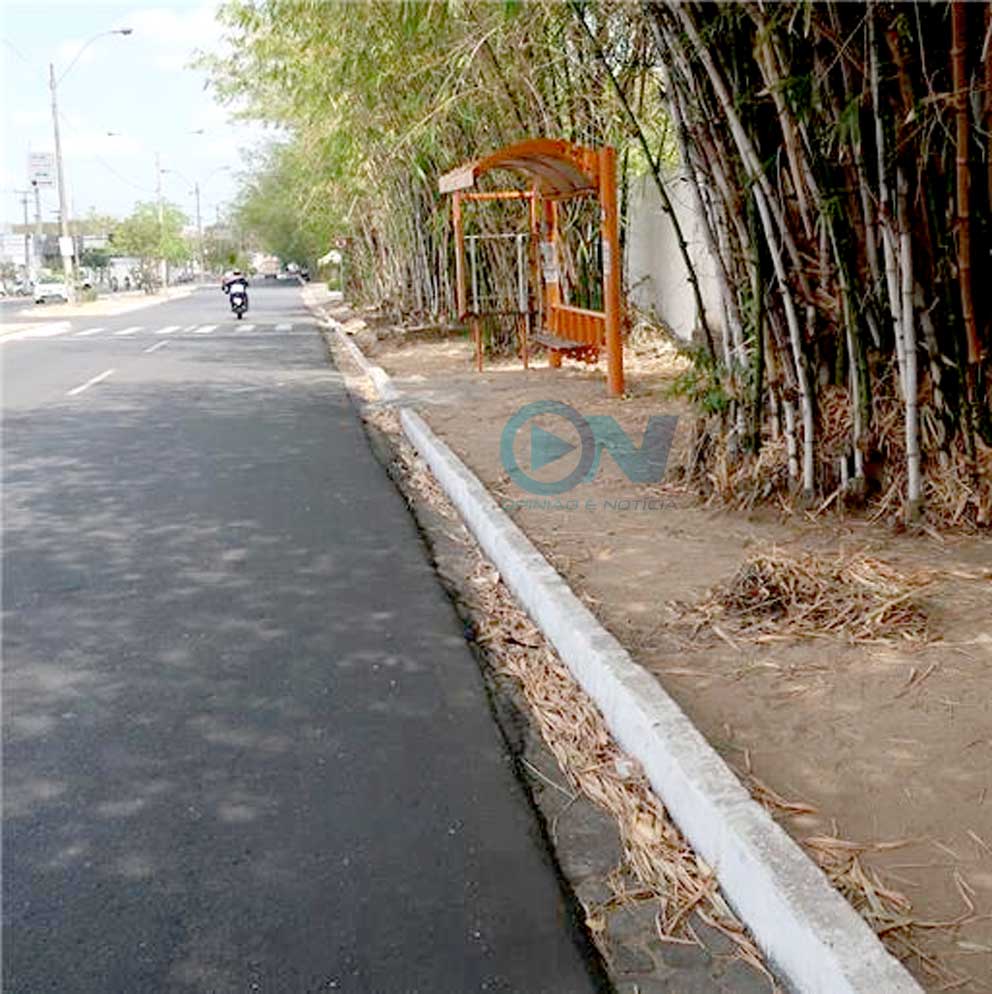 IBGE: Teresina lidera em calçadas, mas tropeça na acessibilidade
