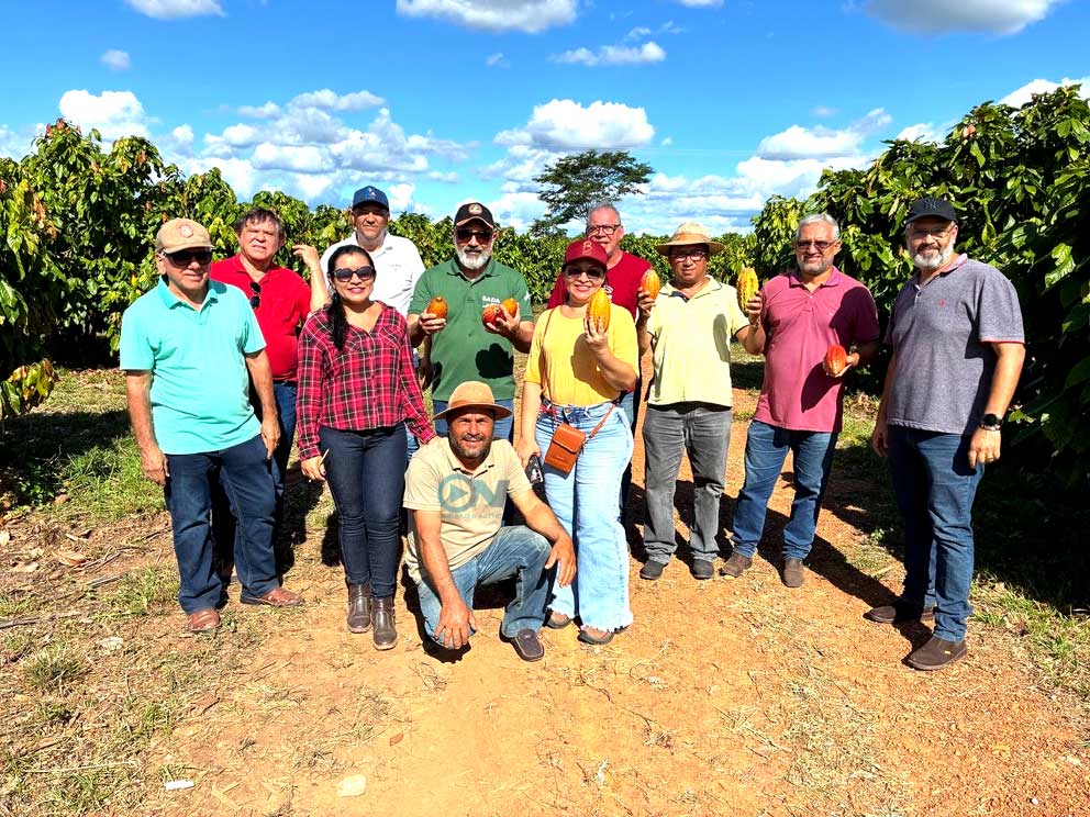 Projeto Cacau do Cerrado quer transformar o Piauí em nova potência da produção cacaueira do país