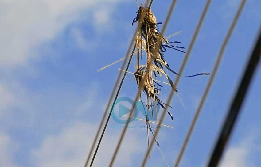 Pipas na rede elétrica já causaram cerca de 80 ocorrências de falta de energia neste ano