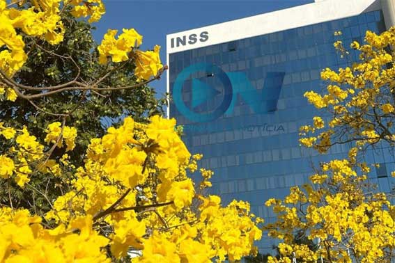 Mais de 11 mil aposentados e pensionistas no Piauí já aderiram ao acordo de ressarcimento do INSS
