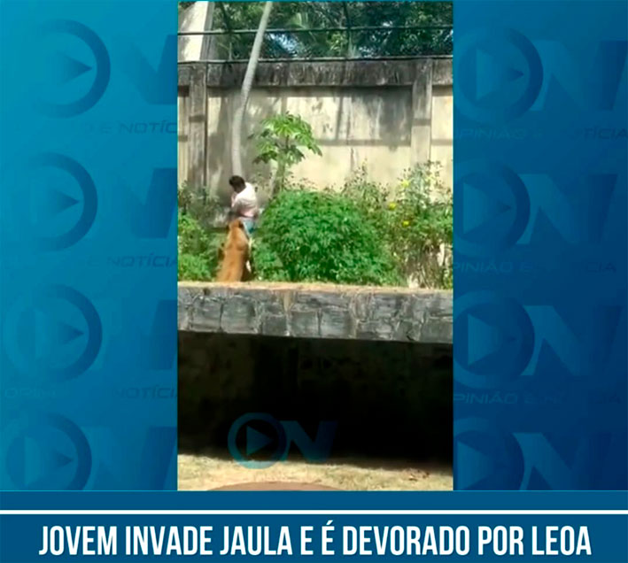 Jovem devorado por leoa sonhava em domar leões e tinha dezenas de passagens pela polícia após abandono da família e do poder público