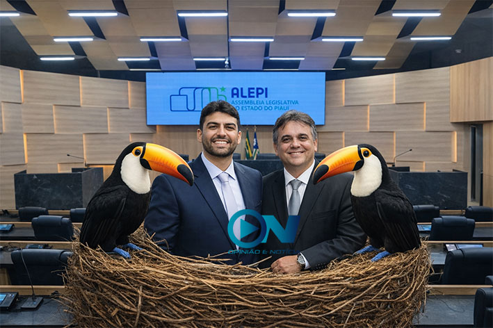 Ninho tucano vira possível “porto seguro” para Draga Alana após sucessivas negativas de partidos ?