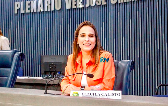 Vereadora de Teresina apresenta projeto para proibir fabricação de fogos de artifício barulhentos na capital