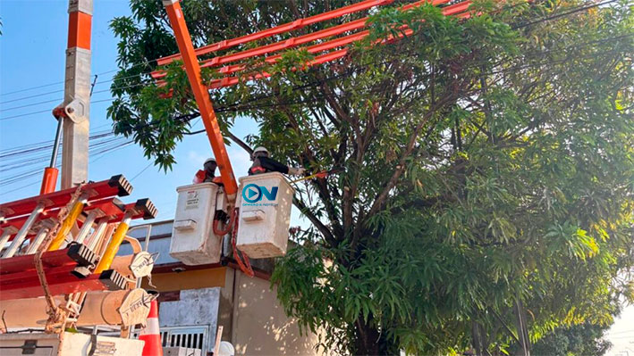 Apenas no primeiro trimestre de 2026, a Equatorial Piauí realizou quase 20 mil podas na rede elétrica e faz alerta importante aos clientes