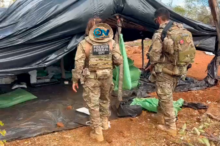 Polícia Federal destrói plantação de maconha e prende oito suspeitos em São Francisco de Assis do Piauí